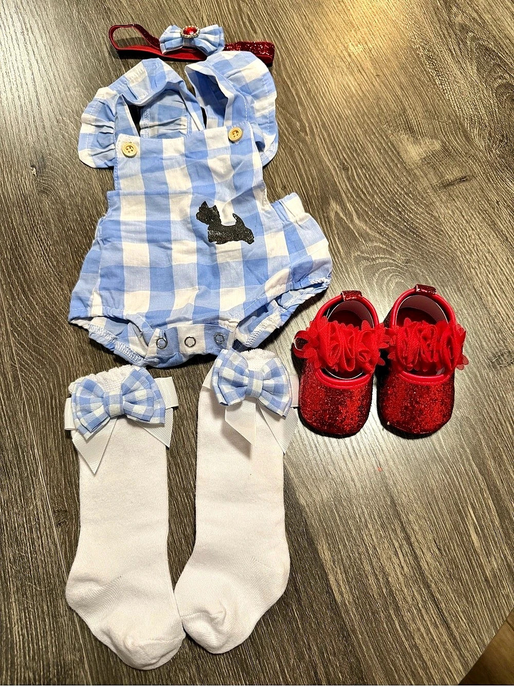 Baby Dorothy Costume Set 0-3M